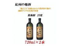 紀州の地酒 貴梅酎 きばいちゅう 25度 720ml×2本【EG09】【evg909】