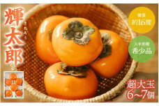 希少な柿【輝太郎】大玉6個～7個 コクのある甘さ！こだわり農家厳選【2025年10月初旬頃から10月下旬頃順次発送】【KG24】【kgr018】