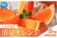 【来シーズン先行予約】家庭用 清見オレンジ 8kg   ※2026年3月上中旬～順次発送 / 清見 みかん 晩柑 人気 柑橘 スマイルカット  蜜柑 フルーツ 果物 くだもの 食品 人気 おすすめ 送料無料 産地直送 和歌山県 由良町  【kzmn012】