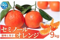 【来シーズン先行予約】セミノール 9kg   ※2026年4月上中旬～順次発送 /  みかん 晩柑 人気 柑橘 スマイルカット  蜜柑 フルーツ 果物 くだもの 食品 人気 おすすめ 送料無料 産地直送 和歌山県 由良町【kzmn014】