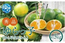 【糖度11度以上!】ゆら早生みかん「ゆらっ子」5kg ※2025年10月初旬頃～順次発送予定(お届け日指定不可) / 極早生 早生 由良町 和歌山県 柑橘 密柑 完熟 甘い ミカン 光センサー 柑橘 果実 くだもの フルーツ ブ JA認定ブランド品 糖度11度  先行予約【jahd002】