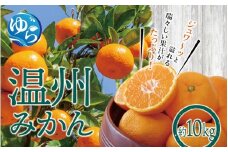 和歌山県産　温州みかん10kg ※2025年12月初旬頃～順次発送予定(お届け日指定不可) / 温州 密柑 JA 糖度 甘い 光センサー ゆらみかん 由良町 ミカン  柑橘 期間限定 和歌山県産【jahd004】