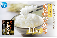 【受付終了間近！】【令和6年度産米】 きぬひかり 10kg ※お届け日指定不可※ / 白米 お米 キヌヒカリ 由良町 精米 和歌山 2024年度 ごはん ご飯 米 こめ【jahd009】