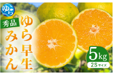 【先行予約】ゆら早生みかん 秀品 2Sサイズ 5kg 贈答用※2025年10月頃に順次発送予定 / ゆら早生 柑橘 極早生 フルーツ 果物 くだもの 食品 人気 おすすめ 送料無料 由良町 【ksmt003】