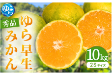 【先行予約】ゆら早生みかん 秀品 2Sサイズ 10kg 贈答用※2025年10月頃に順次発送予定 / ゆら早生 柑橘 極早生 フルーツ 果物 くだもの 食品 人気 おすすめ 送料無料 由良町 【ksmt004】