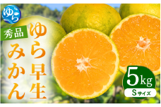 【先行予約】ゆら早生みかん 秀品 Sサイズ 5kg 贈答用※2025年10月頃に順次発送予定 / ゆら早生 柑橘 極早生 フルーツ 果物 くだもの 食品 人気 おすすめ 送料無料 由良町 【ksmt005】