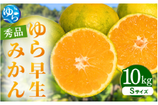【先行予約】ゆら早生みかん 秀品 Sサイズ 10kg 贈答用※2025年10月頃に順次発送予定 / ゆら早生 柑橘 極早生 フルーツ 果物 くだもの 食品 人気 おすすめ 送料無料 由良町 【ksmt006】