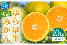 【先行予約】ゆら早生みかん 秀品 Mサイズ 10kg 贈答用※2025年10月頃に順次発送予定 / ゆら早生 柑橘 極早生 フルーツ 果物 くだもの 食品 人気 おすすめ 送料無料 由良町 【ksmt008】