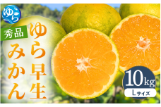 【先行予約】ゆら早生みかん 秀品 Lサイズ 10kg 贈答用※2025年10月頃に順次発送予定 / ゆら早生 柑橘 極早生 フルーツ 果物 くだもの 食品 人気 おすすめ 送料無料 由良町 【ksmt010】