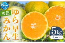 【先行予約】ゆら早生みかん 秀品 Lサイズ 5kg 贈答用※2025年10月頃に順次発送予定 / ゆら早生 柑橘 極早生 フルーツ 果物 くだもの 食品 人気 おすすめ 送料無料 由良町 【ksmt009】