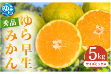 【先行予約】ゆら早生みかん 秀品 サイズミックス 5kg 贈答用※2025年10月頃に順次発送予定 / ゆら早生 柑橘 極早生 フルーツ 果物 くだもの 食品 人気 おすすめ 送料無料 由良町 【ksmt011】