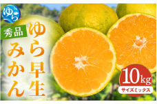 【先行予約】ゆら早生みかん 秀品 サイズミックス 10kg 贈答用※2025年10月頃に順次発送予定 / ゆら早生 柑橘 極早生 フルーツ 果物 くだもの 食品 人気 おすすめ 送料無料 由良町 【ksmt012】