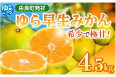 【先行予約】和歌山県産 ゆら早生みかん 4.5kg  ※2025年10月中旬頃より順次発送予定 / 和歌山県 柑橘 みかん 甘い 蜜柑 フルーツ 果物 くだもの 食品 人気  晩柑 おすすめ 送料無料 産地直送 由良町【kzmn005】