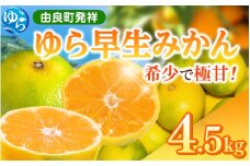 【先行予約】和歌山県産 ゆら早生みかん 4.5kg  ※2025年10月中旬頃より順次発送予定 / 和歌山県 柑橘 みかん 甘い 蜜柑 フルーツ 果物 くだもの 食品 人気  晩柑 おすすめ 送料無料 産地直送 由良町【kzmn005】