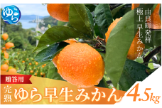 【先行予約】完熟ゆら早生みかん☆贈答用☆4.5kg ※2025年11月上旬頃より順次発送予定 / 和歌山県 柑橘 みかん 甘い 蜜柑 フルーツ 果物 くだもの 食品 人気  晩柑 おすすめ 送料無料 産地直送 由良町【kzmn010】