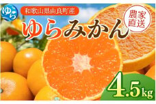【先行予約】ゆらみかん  4.5kg ※2025年12月上旬頃から順次発送予定 / 温州みかん 和歌山県 柑橘 みかん 甘い 蜜柑 フルーツ 果物 くだもの 食品 人気   おすすめ 送料無料 産地直送 由良町【kzmn018】