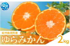 【先行予約】ゆらみかん 2kg ※2025年12月上旬頃から順次発送予定 / 温州みかん 和歌山県 柑橘 みかん 甘い 蜜柑 フルーツ 果物 くだもの 食品 人気   おすすめ 送料無料 産地直送 由良町【kzmn019】