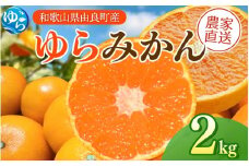 【先行予約】ゆらみかん 2kg ※2025年12月上旬頃から順次発送予定 / 温州みかん 和歌山県 柑橘 みかん 甘い 蜜柑 フルーツ 果物 くだもの 食品 人気   おすすめ 送料無料 産地直送 由良町【kzmn019】