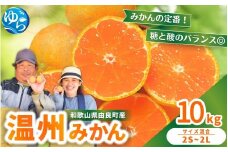温州みかん 10kg 2S～2Lサイズ混合 ※2025年12月上旬～順次発送 / 温州 ミカン 農家直送　完熟 密柑 くだもの  果実  柑橘 果物 フルーツ 和歌山県 由良町 人気 おすすめ 産地直送【nktn011-sp-12】