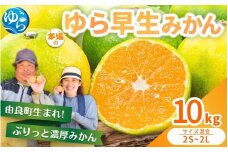ゆら早生みかん 10kg 2S～2Lサイズ混合 ※2025年10月中旬～10月下旬順次発送  / 柑橘 和歌山県 由良町 極早生 早生 早生みかん 柑橘 甘い 完熟 密柑 人気 おすすめ くだもの 果物 フルーツ  農家直送 産地直送 【nktn014-sp】