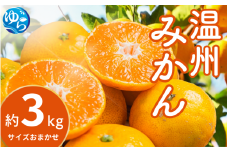 【先行予約】温州みかん 約3kg (サイズおまかせ)【2025年12月中旬から順次発送予定】※北海道・沖縄・離島配送不可 / ミカン 蜜柑 フルーツ 果物 柑橘 果実 由良町 国産 産地直送 和歌山県【eiw014】