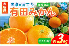 【先行予約】黒潮が育てた有田みかん（家庭用・サイズ混合）約3kg［2025年11月中旬頃から順次発送予定 ※お届け時間帯指定可］ / 蜜柑 柑橘 ミカン フルーツ 果物 くだもの 食品 人気 おすすめ 産地直送 和歌山県 由良町【ytkn022】