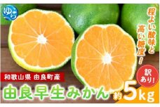 【訳あり】由良早生 みかん 約5kg / 和歌山 わけあり キズ 家庭用 サイズ混合 由良 ※2025年10月上旬～11月上旬頃順次発送予定【sml135】