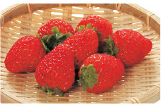 【ご家庭用（簡易包装）】和歌山県産まりひめ　１箱（２パック入り）【2026年1月お届け】【mtgn104】