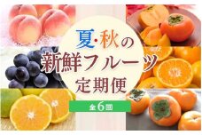 【定期便全6回】夏・秋の新鮮フルーツ定期便【tec-tkb001】