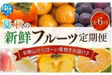 フルーツ 定期便 【全6回】/ 桃 ピオーネ 極早生みかん たねなし柿 富有柿 有田みかん / 和歌山 甘い 果物 【tec-tkb001】
