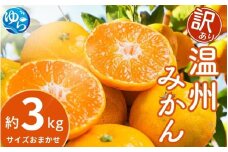 【先行予約】【訳あり】温州みかん 約3kg (サイズおまかせ)【2025年12月中旬から順次発送予定】※北海道・沖縄・離島配送不可 / ミカン 蜜柑 フルーツ ワケあり 果物 柑橘 果実 由良町 国産 産地直送 和歌山県【eiw016】
