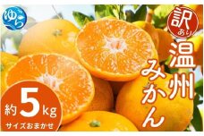 【先行予約】【訳あり】温州みかん 約5kg (サイズおまかせ)【2025年12月中旬から順次発送予定】※北海道・沖縄・離島配送不可 / ミカン 蜜柑 フルーツ ワケあり 果物 柑橘 果実 由良町 国産 産地直送 和歌山県【eiw017】