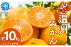 【先行予約】【訳あり】温州みかん 約10kg（サイズおまかせ）【2025年12月中旬から順次発送予定】※北海道・沖縄・離島配送不可 / ミカン 蜜柑 フルーツ ワケあり 果物 柑橘 果実 由良町 国産 産地直送 和歌山県【eiw018】