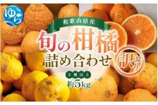 ＼来シーズン先行予約／【訳あり】旬の柑橘詰め合わせ（3種以上）約5kg【2026年2月初旬頃から順次発送予定】※北海道・沖縄・離島配送不可 / みかん 蜜柑 フルーツ 果物 くだもの 由良町 詰合せ おすすめ 産地直送 和歌山【eiw028】