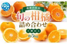 ＼来シーズン先行予約／旬の柑橘詰め合わせ（3種以上）約5kg【2026年2月初旬頃から順次発送予定】※北海道・沖縄・離島配送不可 / みかん 蜜柑 フルーツ 果物 くだもの 由良町 詰合せ おすすめ 産地直送 和歌山【eiw029】