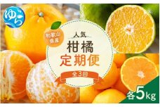 【先行予約】エイワ商店自慢の人気柑橘定期便【全3回】※北海道・沖縄・離島配送不可 / 温州みかん 早生みかん ポンカン みかん 柑橘 ぽんかん 由良町 果物 くだもの フルーツ 期間限定 産地直送 和歌山【eiw-tkb001】