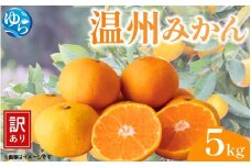 【先行予約】（訳あり）温州みかん 5kg 【12月上旬～順次出荷】/ みかん ミカン 和歌山県 柑橘  甘い 蜜柑 フルーツ 果物 くだもの 食品  産地直送 由良町 ご家庭用 温州 温州ミカン 【kwgc003-12】