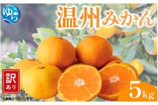 【先行予約】（訳あり）温州みかん 5kg 【12月上旬～順次出荷】/ みかん ミカン 和歌山県 柑橘  甘い 蜜柑 フルーツ 果物 くだもの 食品  産地直送 由良町 ご家庭用 温州 温州ミカン 【kwgc003-12】