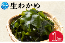 生わかめ 1kg【来シーズン先行予約】※2026年2月上旬頃～順次発送予定 / 食品 海の幸 海鮮 カイセン 海鮮類 ワカメ 生ワカメ 酢の物 サラダ 簡単調理 お味噌汁 和歌山県 由良町 【skmn028】