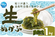 生めかぶ 1kg【来シーズン先行予約】※2026年2月上旬頃～順次発送予定 / めかぶ サラダ 酢の物 天然 海藻 海鮮 新鮮 おかず ご飯お供  お取り寄せ グルメ 国産 食品 冷蔵 和歌山県 由良町 【skmn029】