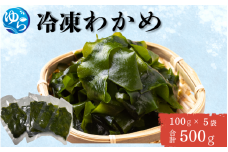 冷凍わかめ 100g×5袋【令和7年度産】 / 食品 海の幸 海鮮 小分け カイセン海鮮類 ワカメ 冷凍ワカメ 酢の物 サラダ 簡単調理 お味噌汁 冷凍 和歌山県 由良町 【skmn030】