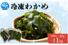 冷凍わかめ 100g×10袋【令和7年度産】 / 食品 海の幸 海鮮 小分け カイセン海鮮類 ワカメ 冷凍ワカメ 酢の物 サラダ 簡単調理 お味噌汁 冷凍 和歌山県 由良町 【skmn031】