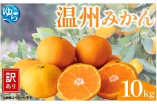 【先行予約】（訳あり）温州みかん 10kg 【11月中旬～順次出荷】/ みかん ミカン 和歌山県 柑橘  甘い 蜜柑 フルーツ 果物 くだもの 食品  産地直送 由良町 ご家庭用 温州 温州ミカン 【kwgc004-11】