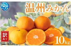 【先行予約】（訳あり）温州みかん 10kg 【12月上旬～順次出荷】/ みかん ミカン 和歌山県 柑橘  甘い 蜜柑 フルーツ 果物 くだもの 食品  産地直送 由良町 ご家庭用 温州 温州ミカン 【kwgc004-12】