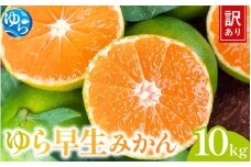 【先行予約】＼訳あり／ ゆら早生みかん 10kg 【2025年10月中旬～順次発送予定】/ みかん ミカン 和歌山県 柑橘 早生 甘い 蜜柑 フルーツ 果物 くだもの 食品  産地直送 由良町 ご家庭用 ゆら早生 早生みかん 【kwgc002】