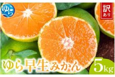 【先行予約】＼訳あり／ ゆら早生みかん 5kg 【2025年10月中旬～順次発送予定】/ みかん ミカン 和歌山県 柑橘 早生 甘い 蜜柑 フルーツ 果物 くだもの 食品  産地直送 由良町 ご家庭用 ゆら早生 早生みかん 【kwgc001】