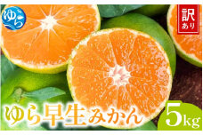 【先行予約】＼訳あり／ ゆら早生みかん 5kg 【2025年10月中旬～順次発送予定】/ みかん ミカン 和歌山県 柑橘 早生 甘い 蜜柑 フルーツ 果物 くだもの 食品  産地直送 由良町 ご家庭用 ゆら早生 早生みかん 【kwgc001】