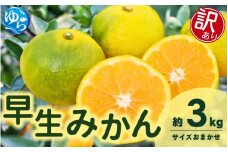【先行予約】【訳あり】由良早生みかん(サイズおまかせ)約3kg【2025年11月初旬から順次発送予定】※北海道・沖縄・離島配送不可 / 温州みかん 蜜柑 ミカン 柑橘 由良町 果物 フルーツ 産地直送 和歌山県【eiw019】
