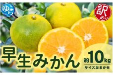 【先行予約】【訳あり】由良早生みかん(サイズおまかせ)約10kg【2025年11月初旬から順次発送予定】※北海道・沖縄・離島配送不可 / 温州みかん 蜜柑 ミカン 柑橘 由良町 果物 フルーツ 産地直送 和歌山県【eiw021】
