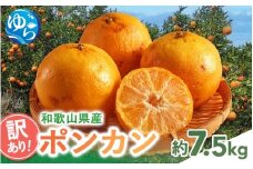 ＼来シーズン先行予約／訳あり 和歌山県産ポンカン（サイズおまかせ）約7.5kg 【2026年1月下旬から順次発送予定 】※北海道・沖縄・離島配送不可 / ぽんかん 柑橘 フルーツ 果物 くだもの 期間限定 人気 由良町 おすすめ 産地直送 和歌山【eiw022】